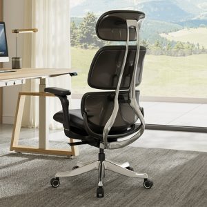 Forma. Ergonomic Executive Office Chair