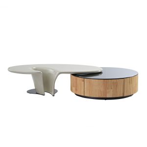 36 Round & Special-shaped Coffee Table with Side Table Set