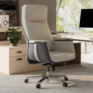 Royal II. Silicone & Leather Executive Ergonomic Office Chair