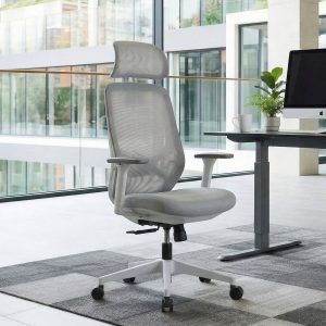 Mesh Ergonomic Office Chair