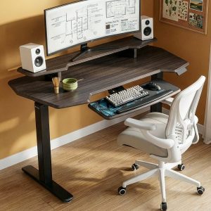 Standing Desk (55x27)